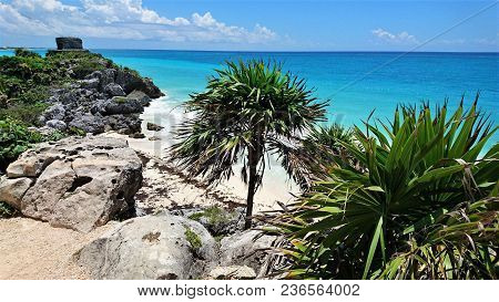Tulum Beach In The Region Of Yucatan Mexico