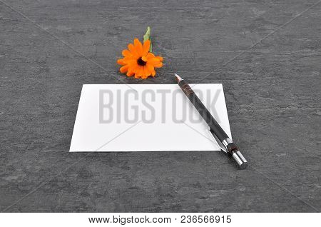 Colorful And Crisp Image Of Memo, Pen And Common Marigold On Slate