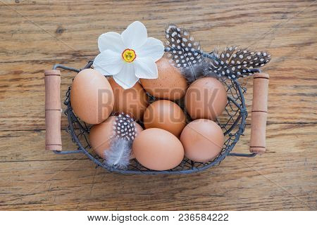 Wire Basket Of Eggs, Feathers And A Daffodil