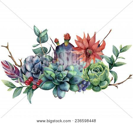 Watercolor Floral Bouquet With Cactus And Flower. Hand Painted Opuntia, Succulent, Berries, Feathers