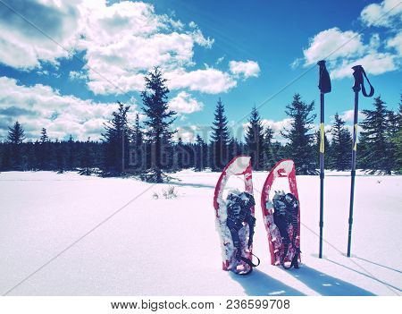 Snowshoes In Snow. Winter Trail Over Snowy Hills And Mountains. Winter Walks With Forests And Mounta