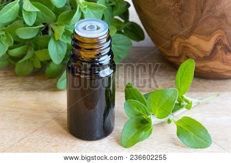 A Bottle Of Marjoram Essential Oil With Fresh Marjoram Twigs In The Background