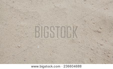 Sand Texture. Sandy Beach For Background.top View