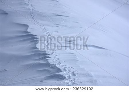 Tracks In The Snow From Mountain Climbing In Unalaska, Alaska