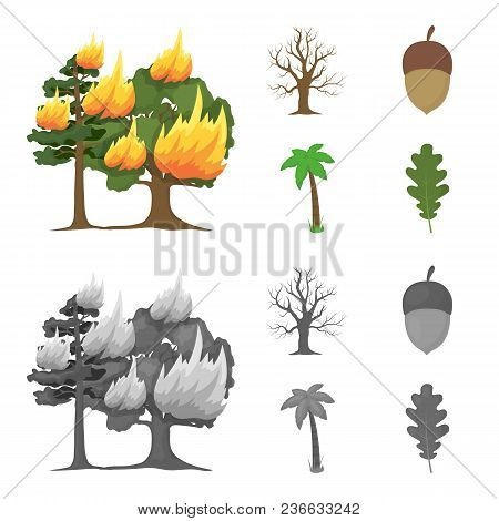 Burning Tree, Palm, Acorn, Dry Tree.forest Set Collection Icons In Cartoon, Monochrome Style Vector 