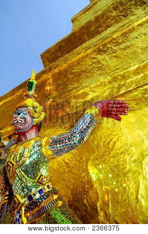 Westliche Grünmeerkatze Bewachung des Palace-Thailands