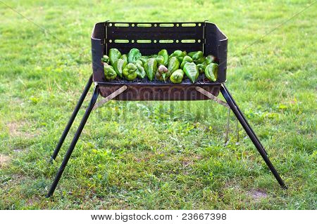 Grill