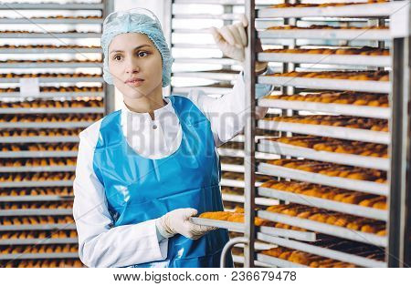 Fish Seafood Factory Industry Production Processing Equipment