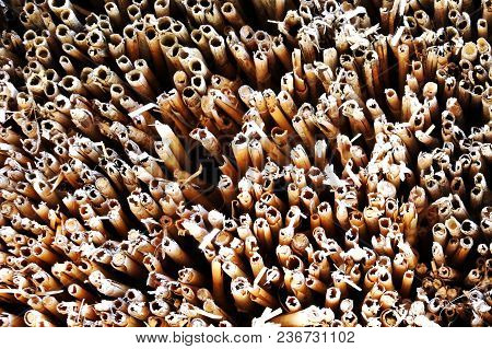 An Old Country Roof Made Of Straw. Background. Texture