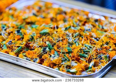 Marigolds in a tray during Tihar festival in Kathmandu, Nepal