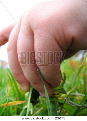 Kind Hand