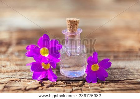 Foalfoot Essential Oil In A Beautiful Bottle On The Table
