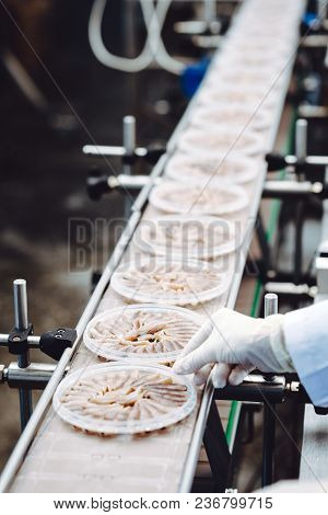 Fish Seafood Factory Industry Production Processing Equipment