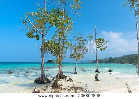 Stunning View Of Havelock Island Beach, Beautiful Tree In The Sea Water, Andaman Nicobar Islands.