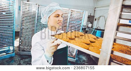 Fish Seafood Factory Industry Production Processing Equipment