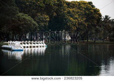 Swan paddle boats in Lumphini Park, Bangkok