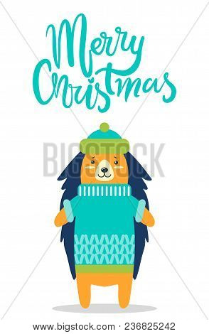 Merry Christmas Greeting Card With Cute Hedgehog In Warm Hat And Knitted Winter Sweater With Pattern