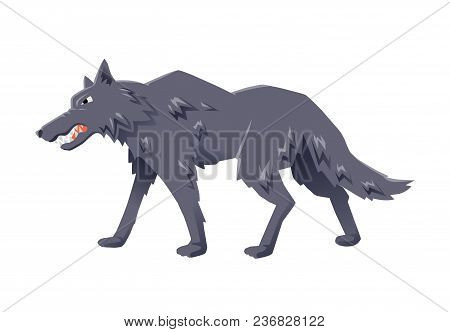 Gray Angry Wolf Walking. Vector Flat Illustration, Isolated On White Background.
