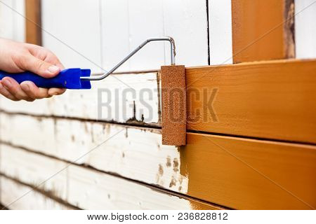 Man Painted Wooden Boards With A Bow Roller And Foam Roller. Brown Paint Is Painted Or Rolled On A W