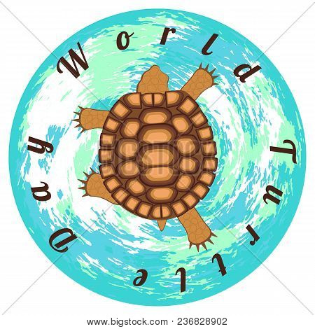 World Turtle Day. Reptile Turtle. Land Tortoise. View From Above. Walking, Running. Background Of Th