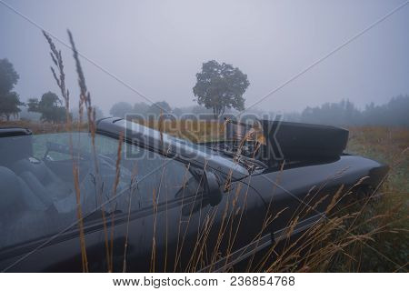 Black Car In A High Yellow Grass In A Field By The Forest In The Morning Fog