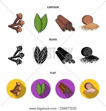 Clove, Bay Leaf, Nutmeg, Cinnamon.herbs And Spices Set Collection Icons In Cartoon, Black, Flat Styl