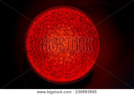 Red Caviar Salmon In A Jar On A White Background