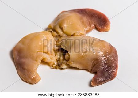 Spisula Sachalinensis Lie On A White Background
