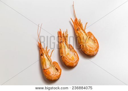 Shrimp Langoustine Lie On A White Background