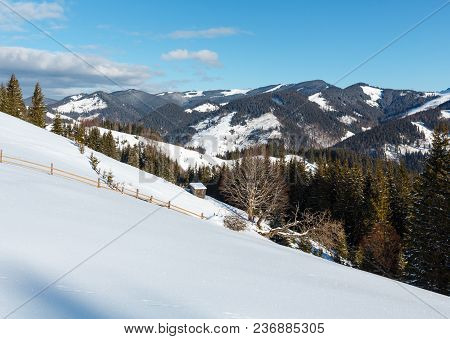 Winter Morning Picturesque Mountain Hill Top With Farmstead Snow Covered And Some Withered Windbreak