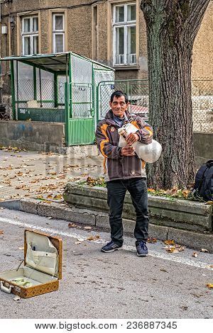 Ruse City, Bulgaria - November 11 2017. Man Playing Bagpipes.