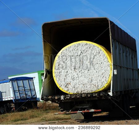 Huge Roll Of Cotton Is Rolled And Loaded Onto The Back Of Semi-trailor Ready For Shipping.