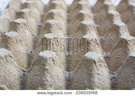 Empty Egg Box