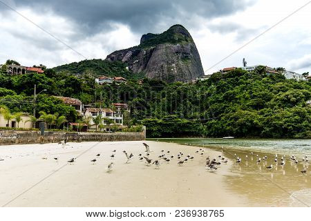 Seagulls Flying Underneath Bridge In The Point Where The Sea Meets The Marapendi Lagoon, In Barra Da