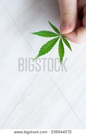 Smiling Kid Child Holding A Hemp Leaf. Concepts Of Using Marihuna For Medicinal Purposes For Childre