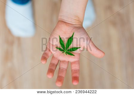 Smiling Kid Child Holding A Hemp Leaf. Concepts Of Using Marihuna For Medicinal Purposes For Childre
