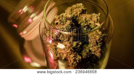Chemical Elements In Marijuana Buds Cbd Thca Cbn