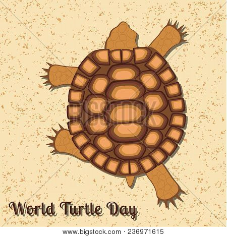 World Turtle Day. Reptile Turtle. Land Tortoise. View From Above. Walking, Running Over The Sand