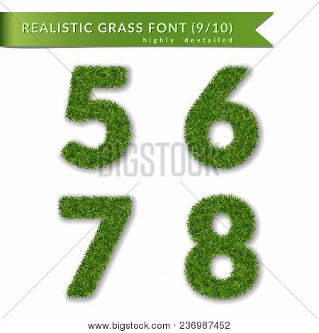 Grass Numbers 5 6 7 8. Green Numbers Five, Six, Seven, Eight Isolated On White Background. Green Gra