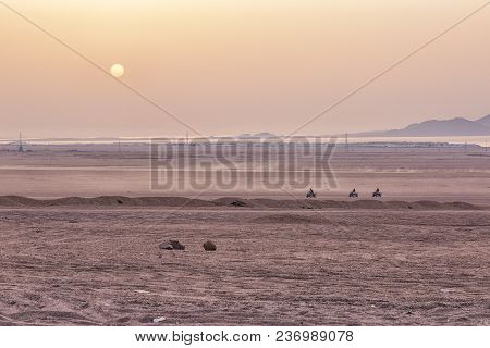 Sunset In Sinai Desert Near Sharm El Sheikh, Egypt