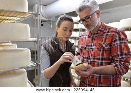 Couple of cheese makers testing bite of cheese in cellar