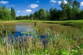 Golfplatz In Schweden