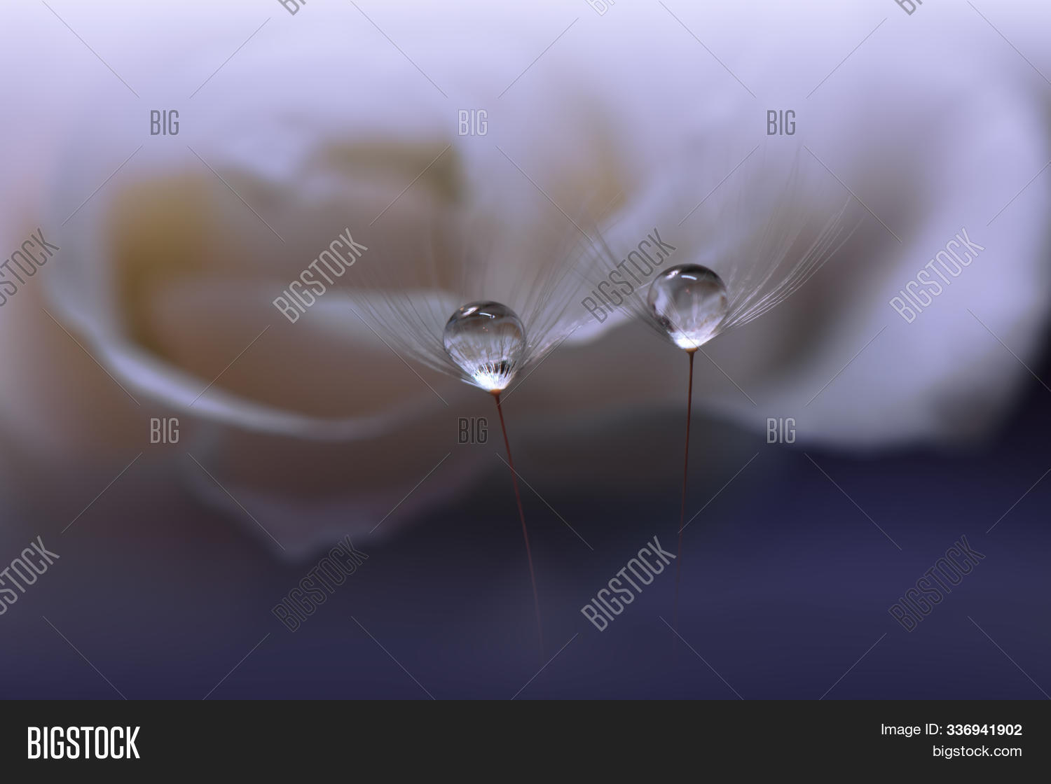 Beautiful Nature Image Photo Free Trial Bigstock