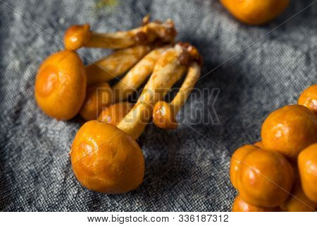 Raw Organic Japanese Nameko Mushrooms