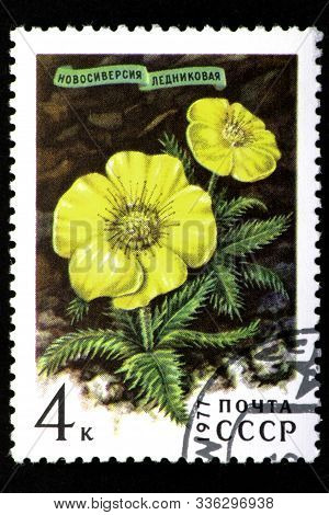08 12 2019 Divnoe Stavropol Territory Russia Postage Stamp Ussr 1977 New Version Glacial A Yellow Fl