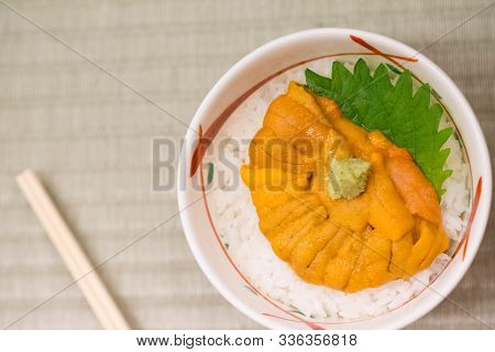 Japanese Rice Bowl Topped With Fresh And Creamy Uni (sea Urchin) With Wasabi At A Restaurant In Hokk