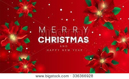 Merry Christmas Background With Christmas Flower Poinsetia And Greeting Text On A Red Background.