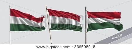 Set Of Hungaria Waving Flag On Isolated Background Vector Illustration
