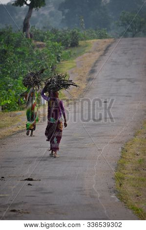 Indian Women Carrying Wood Branchs On Their Heads. Indian Girl Carrying Wood On Head At The Road, An