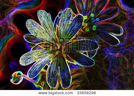 Abstract Flowers